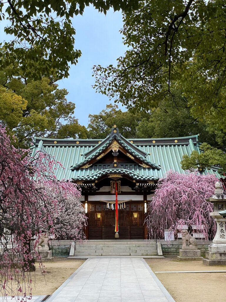 屯倉神社と梅の花