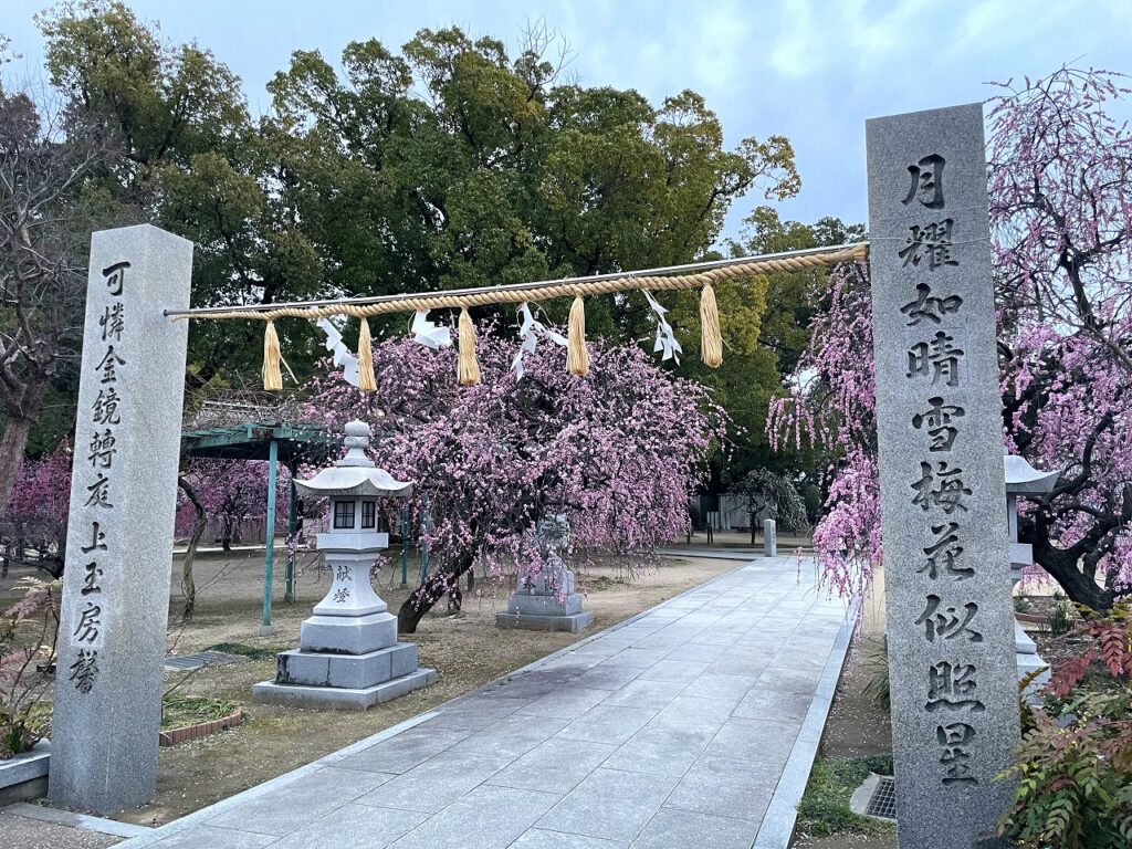 屯倉神社に梅の花を見に行きました