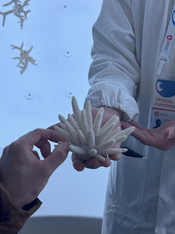 サウジアラビアパビリオン