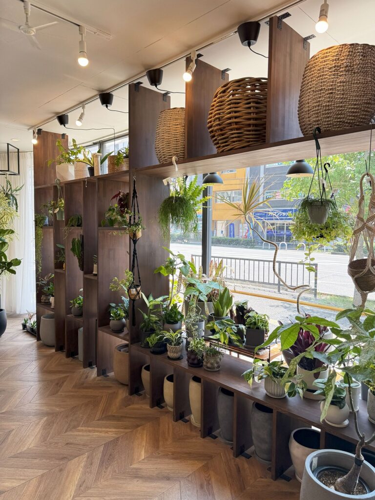 観葉植物専門店Leaf Vein　リーフベイン店内