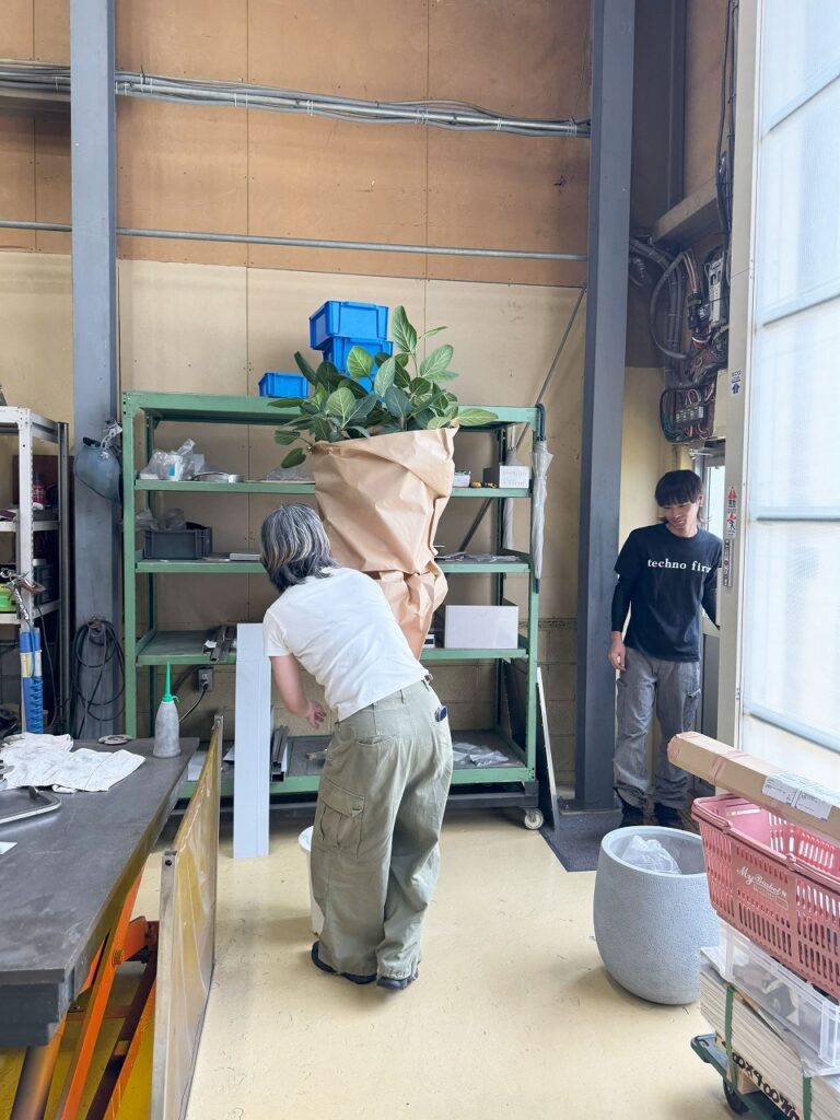 観葉植物専門店Leaf Vein　リーフベインさんが納品に来てくれました