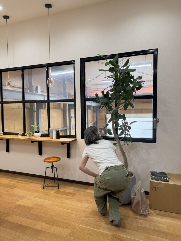 観葉植物専門店Leaf Vein　リーフベインさんが納品に来てくれました