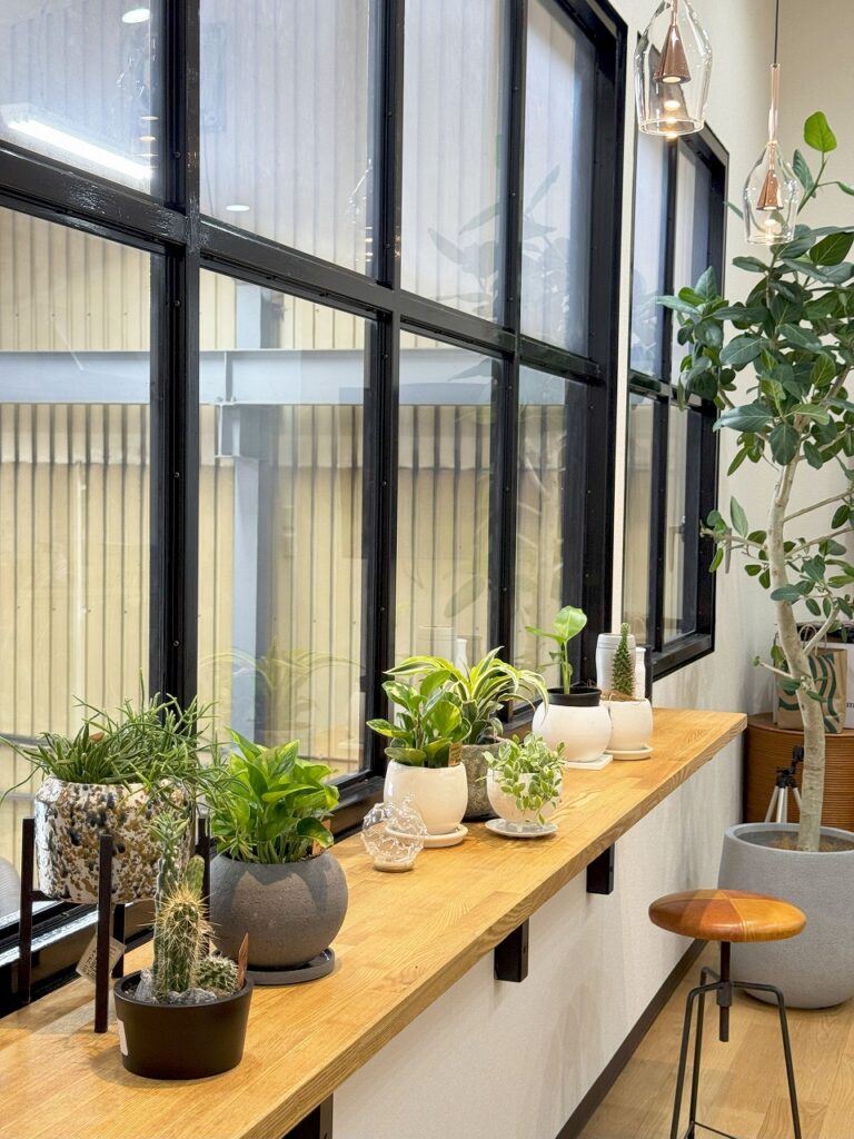 観葉植物専門店Leaf Vein　リーフベインさんが設置してくれた植物たち
株式会社テクノファーム