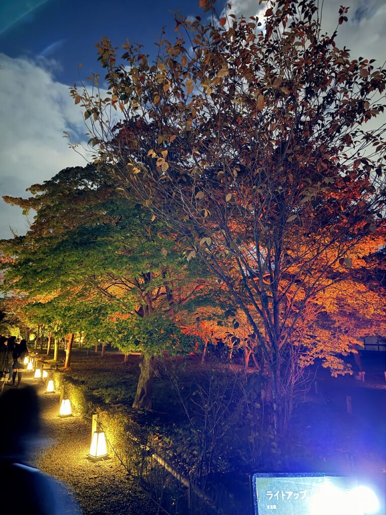 NAKED meets 二条城 2025 観月