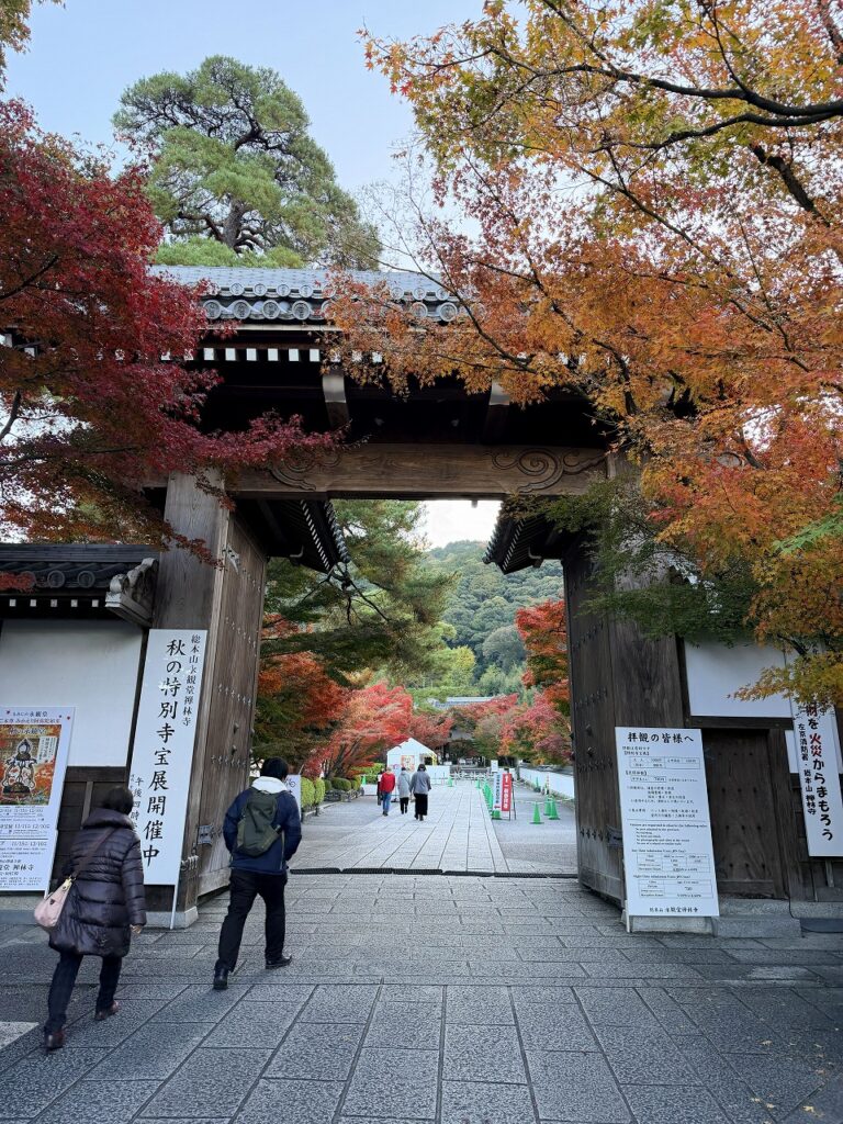 永観堂 早朝特別拝観の紅葉