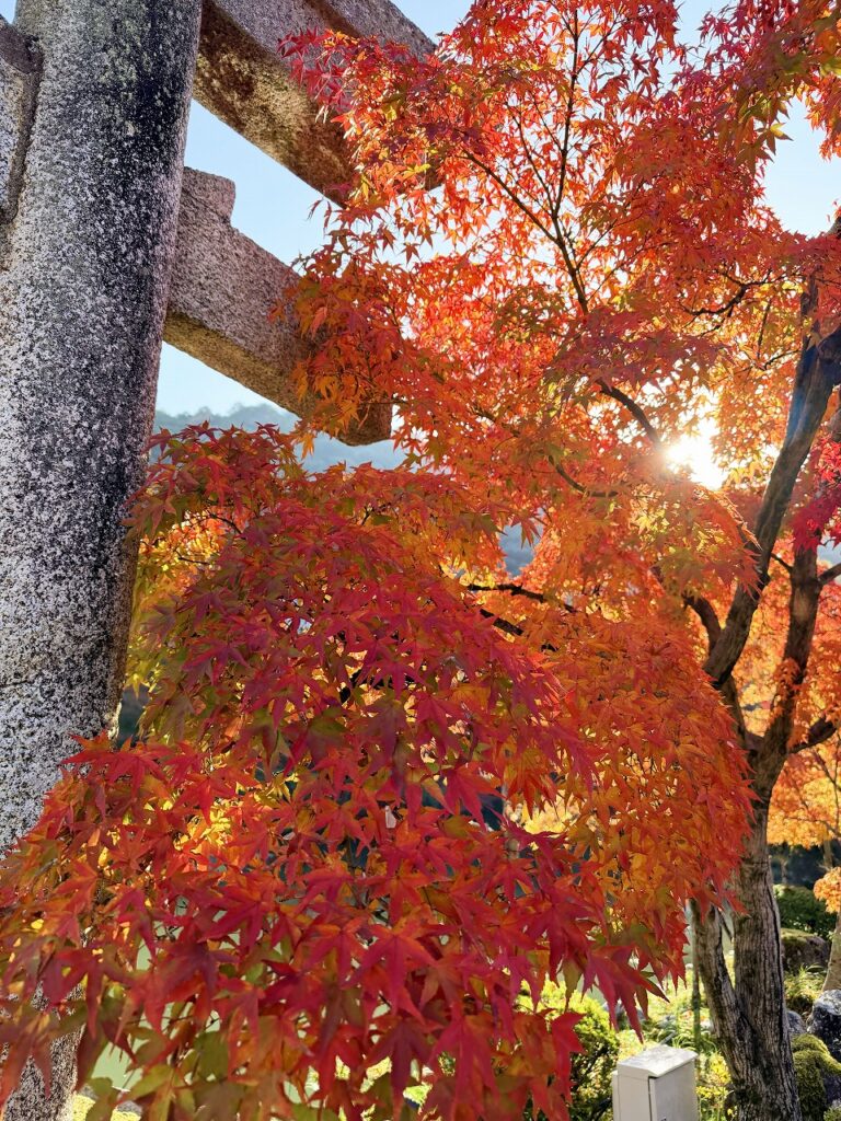 永観堂 永観堂弁天社