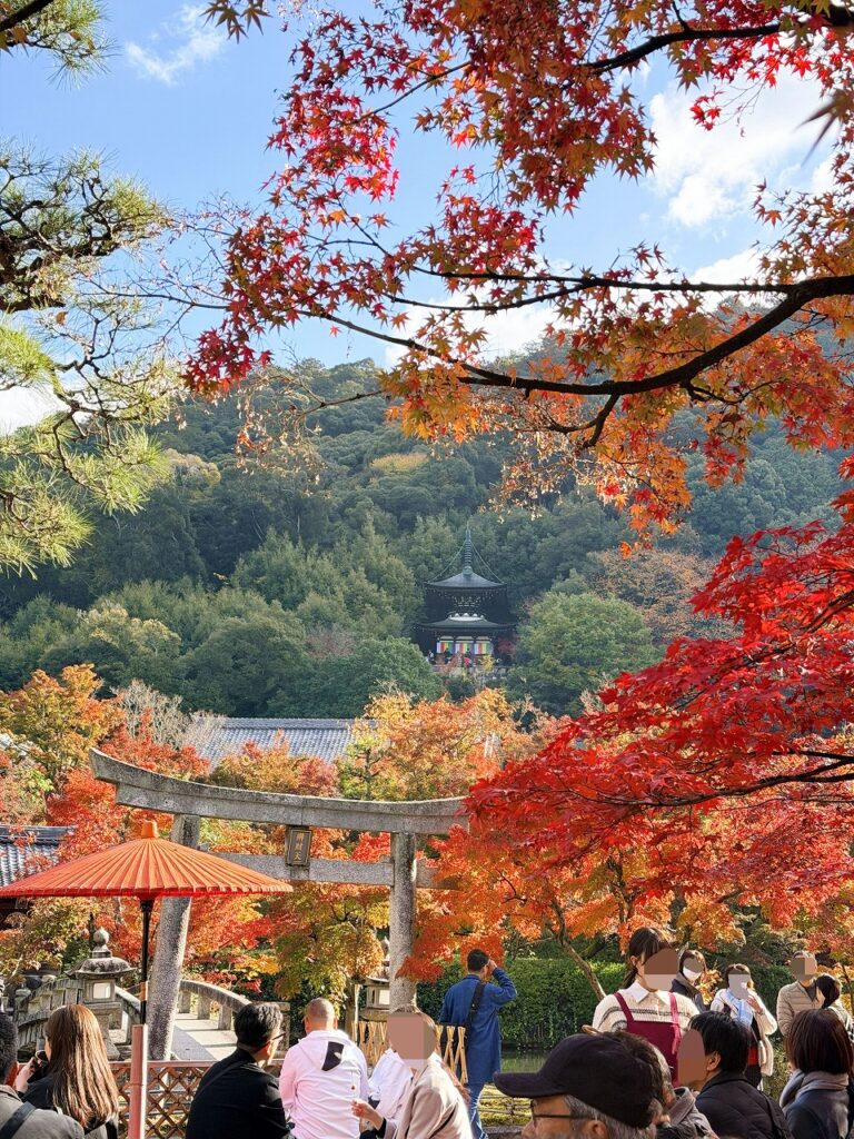 永観堂　みかえり茶屋　からの景色　紅葉
