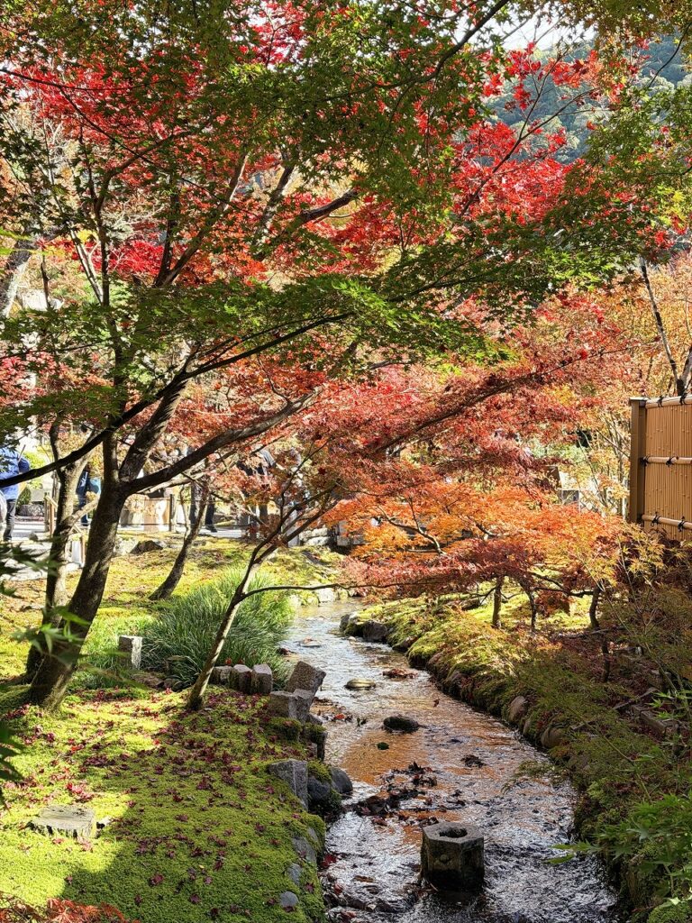 永観堂の紅葉　水路
