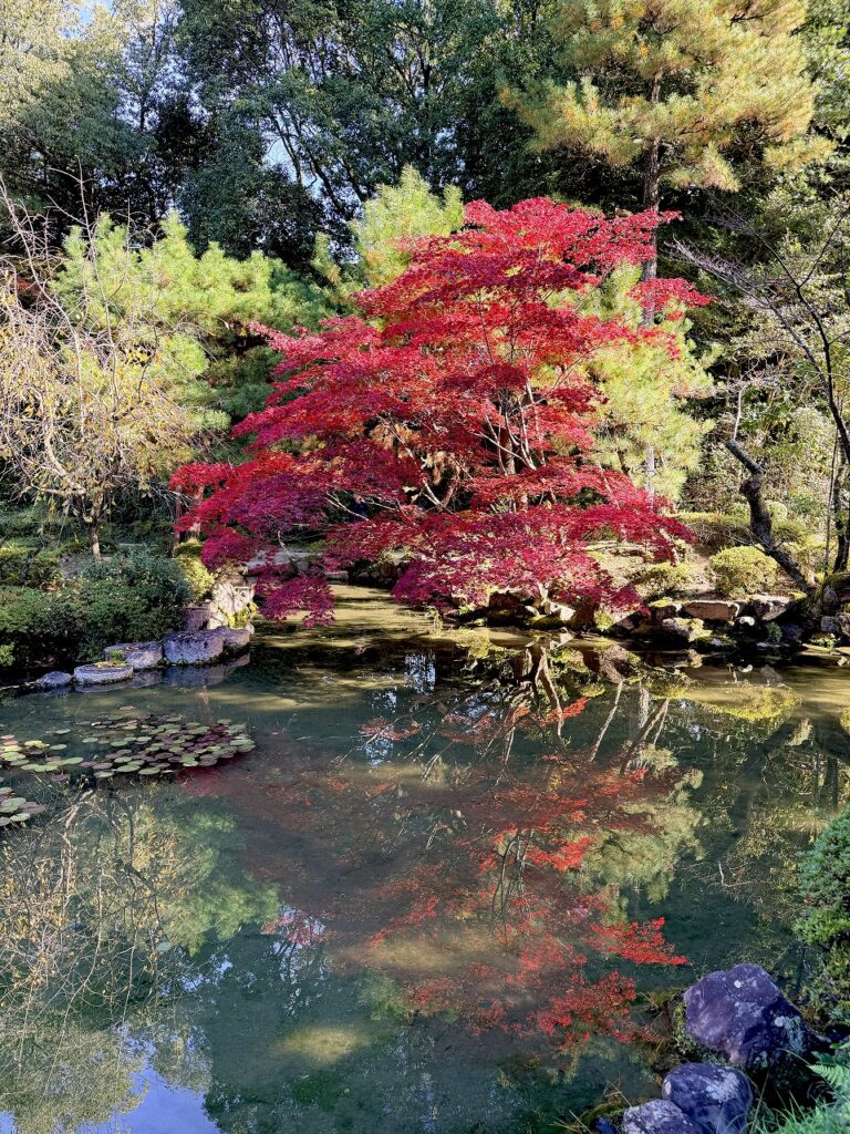 平安神宮の神苑内のお茶処 澄心亭からの眺め