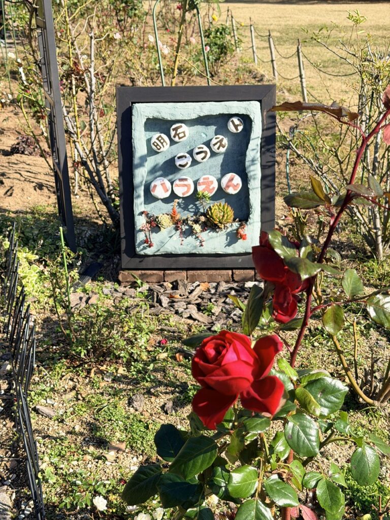 明石城跡、バラ園