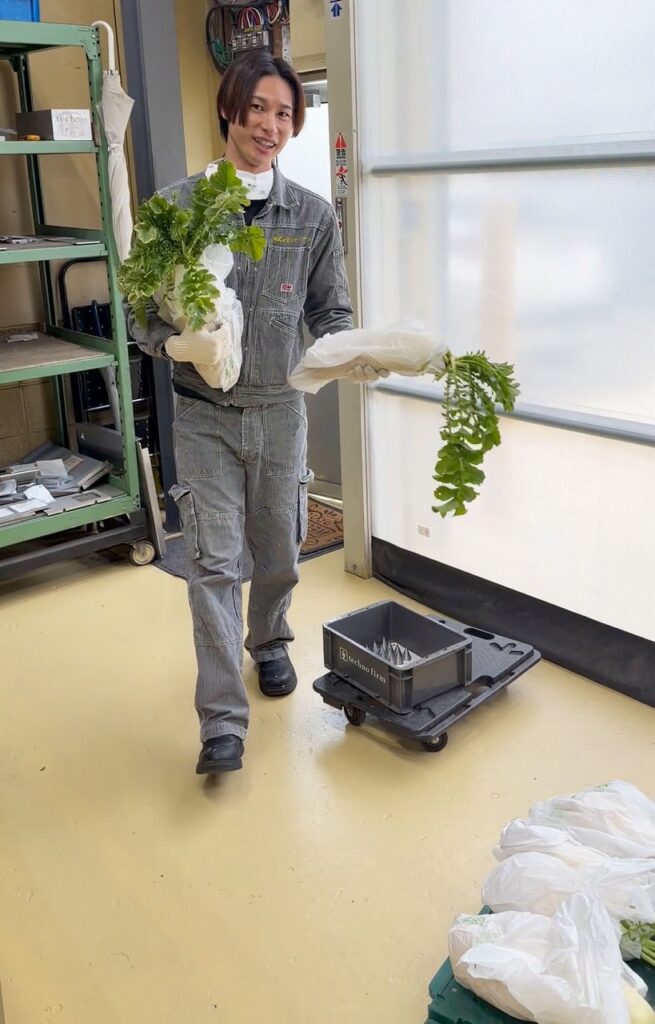 会長農園の大根を運ぶN君 株式会社テクノファーム。大阪府松原市