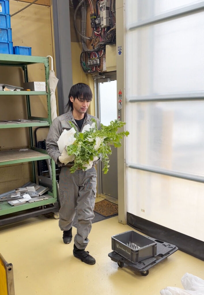 会長農園の大根を運ぶラムちゃん 株式会社テクノファーム