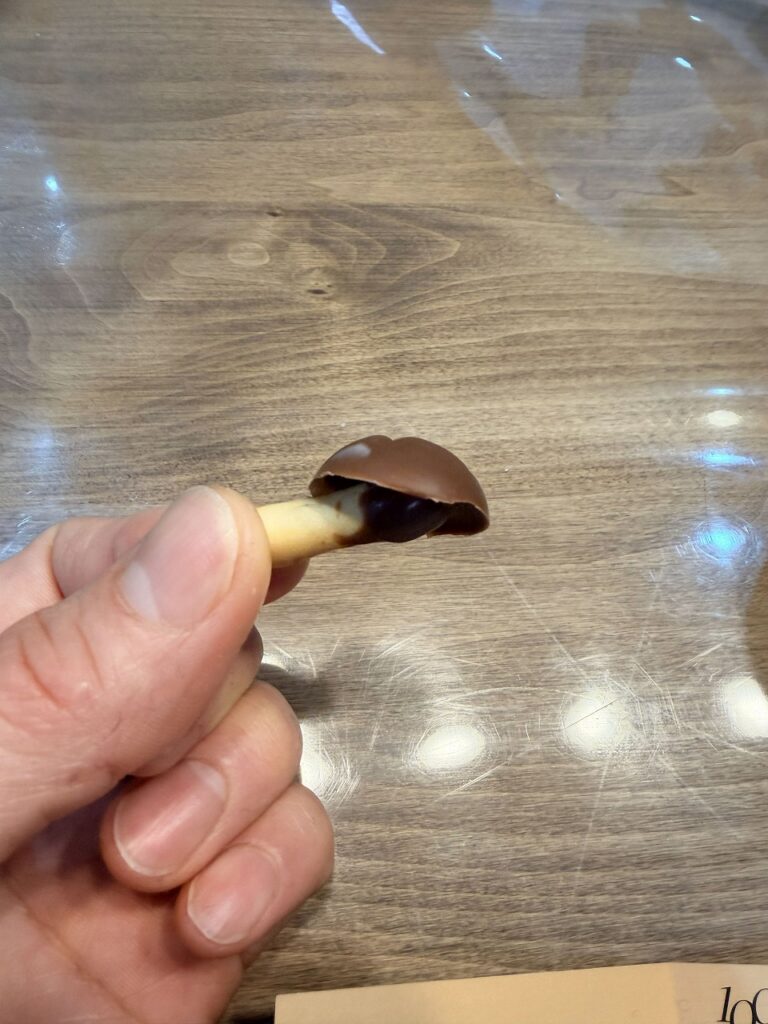 作ろう！きのこの山　たおれた