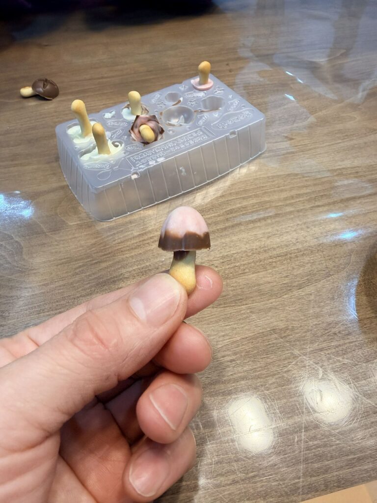 作ろう！きのこの山。綺麗にできた