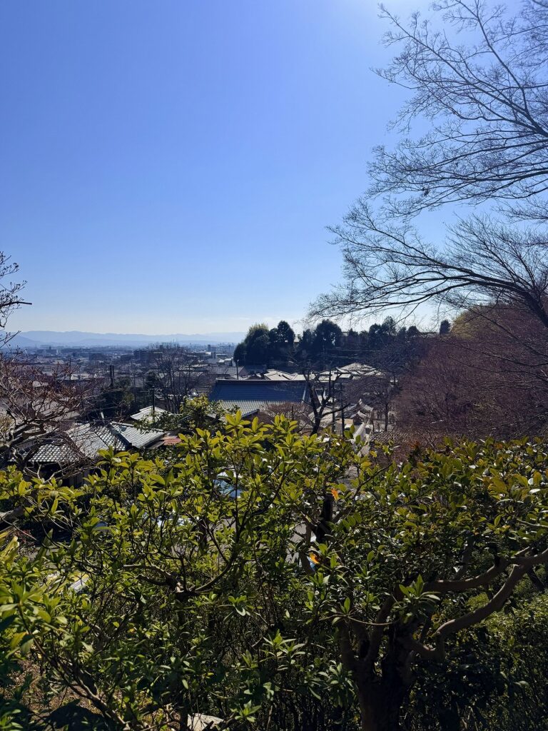 鈴虫寺からの眺め