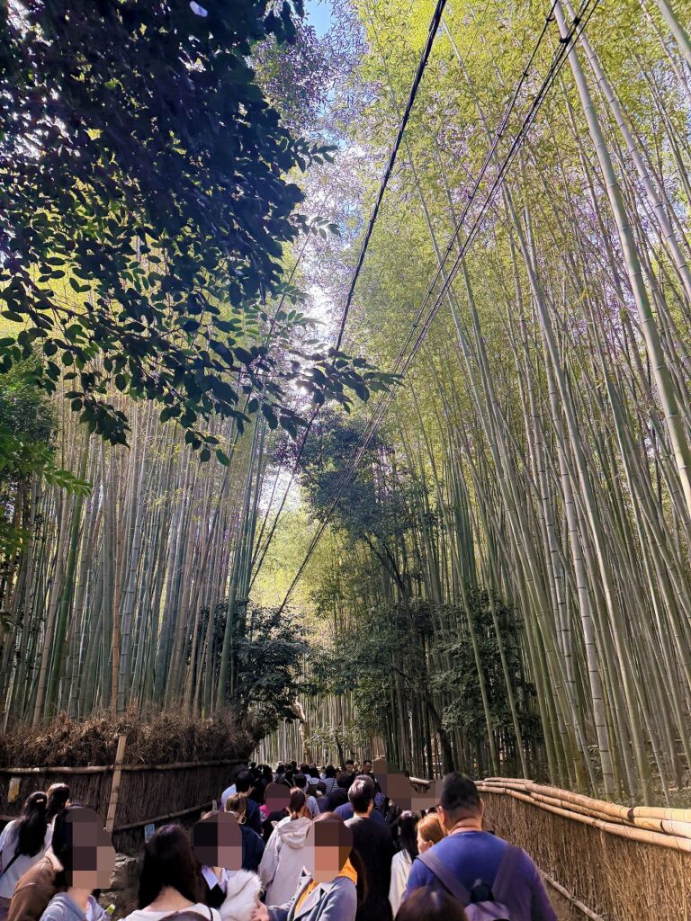 嵐山竹林の小径